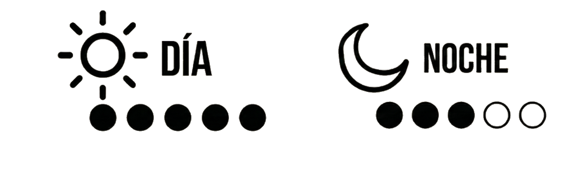 DAILY - Día y Noche